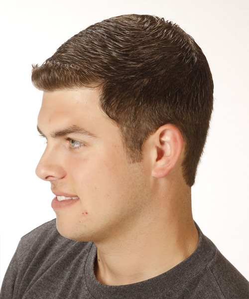 Short Smooth Chestnut Brown Hairstyle For Men - side view