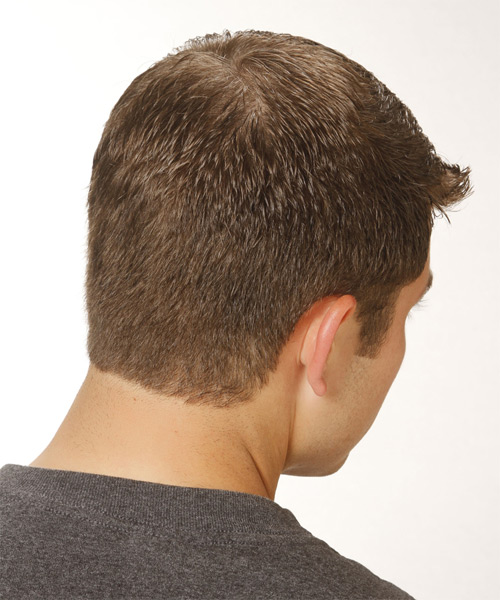 Short Smooth Chestnut Brown Hairstyle For Men - side on view