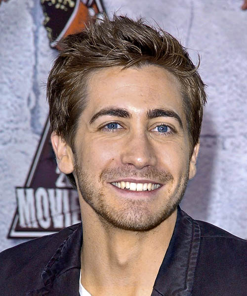 Jake Gyllenhaal Short Straight    Brunette   Hairstyle