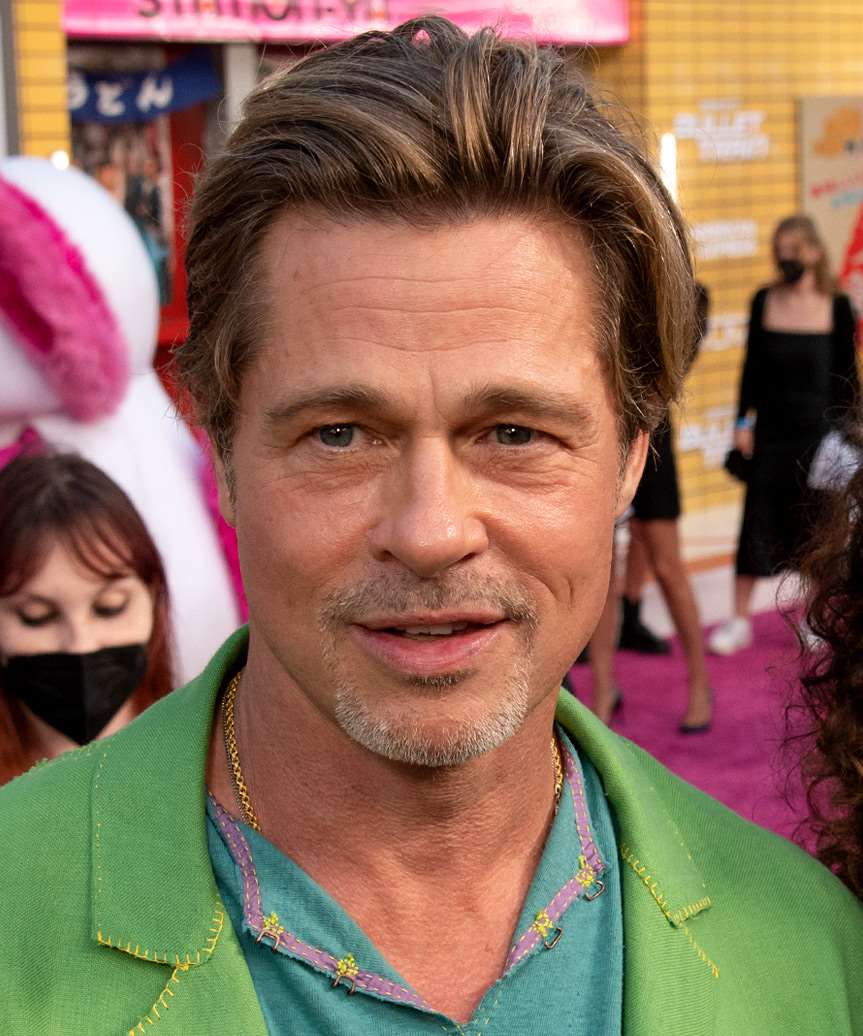 Brad Pitt Short Straight    Brunette   Hairstyle with Layered Bangs
