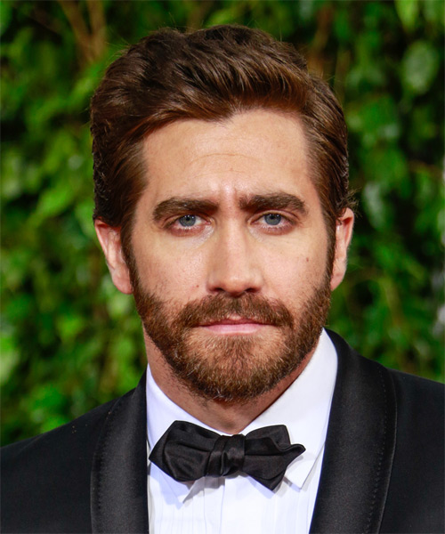 Jake Gyllenhaal Short Straight   Chocolate   Hairstyle
