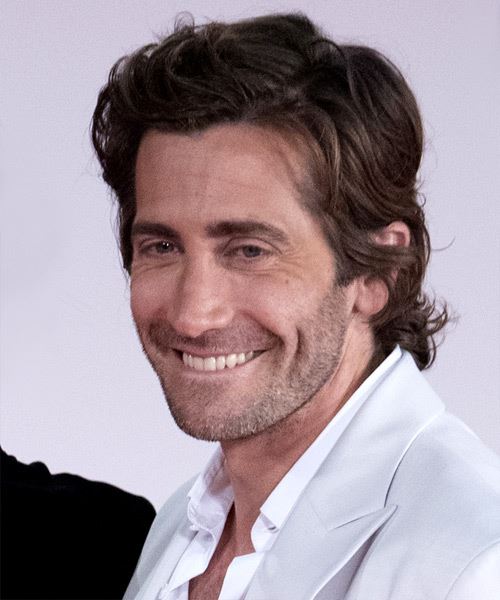 Jake Gyllenhaal Medium Wavy   Black    Hairstyle - side view