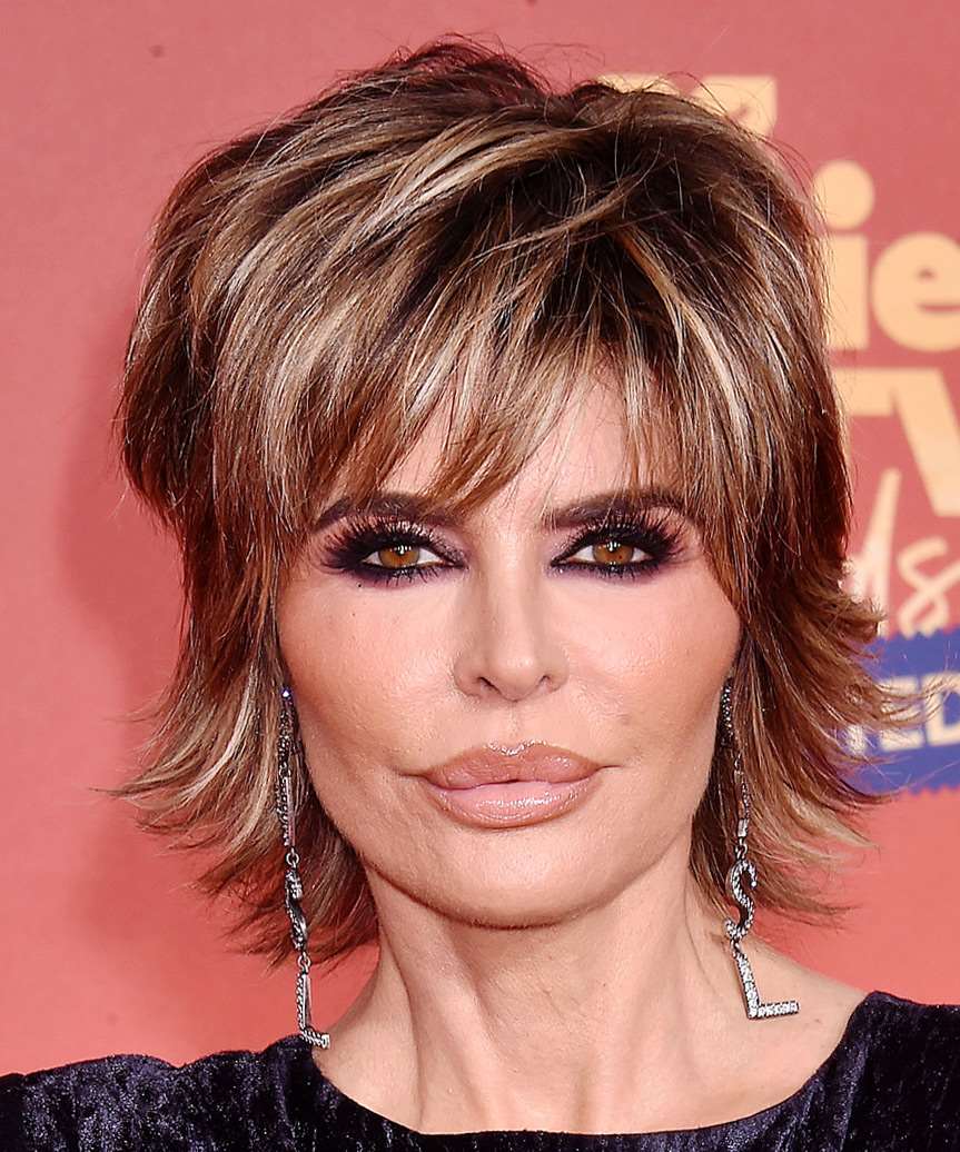 Lisa Rinna Medium Straight    Brunette Shag  Hairstyle   with  Blonde Highlights