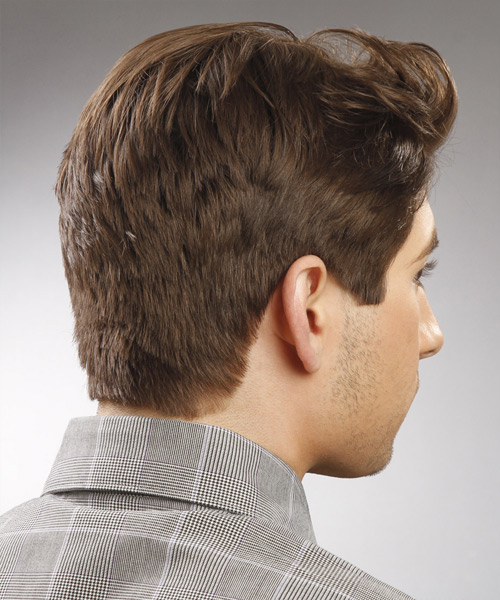 Tidy Brown Male Hairstyle With Height - side view