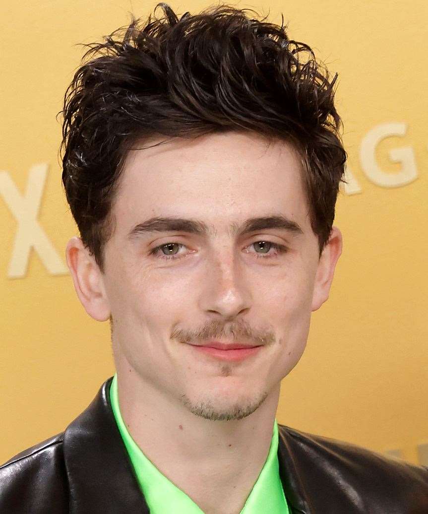 Timothee Chalamet Short Spiky Hairstyle