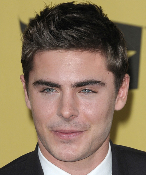 Zac Efron Short Straight   Ash   Hairstyle